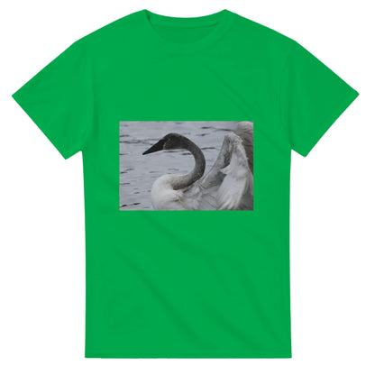 808f77f2-240b-4e0c-bb47-36c2b9c0dc23