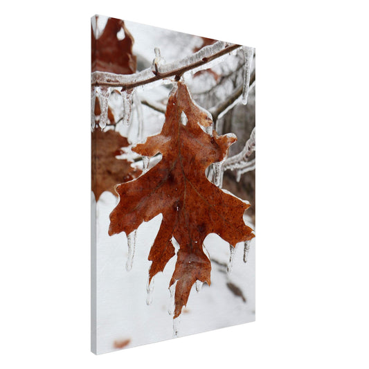 8109e543-95f2-4a0c-9571-3e228f76e451