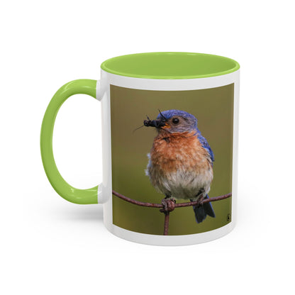 Bluebird Photo Coffee Mug — Eastern Bluebird with Insect Accent Mug (11/15 oz)