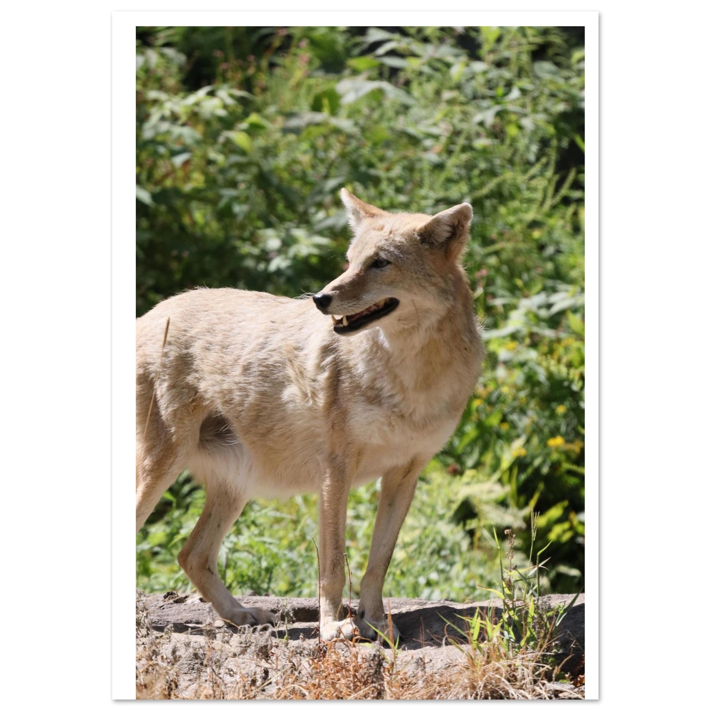 8117532e-ec0c-4cef-9d45-f74ddde92d6a