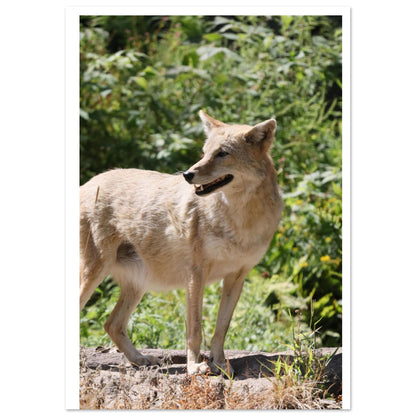 8117532e-ec0c-4cef-9d45-f74ddde92d6a