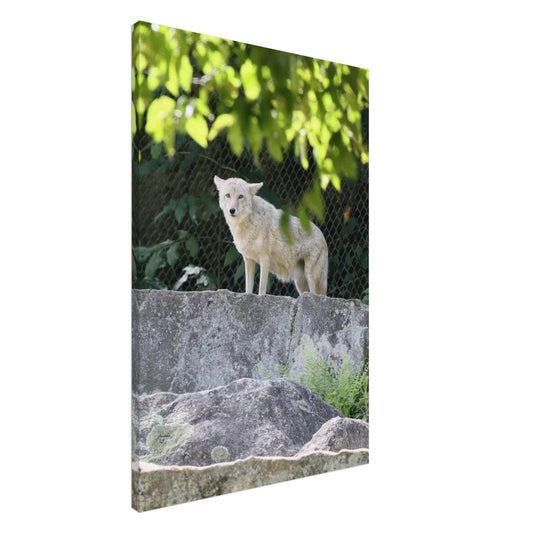 8142f7b6-e4e2-4518-807e-b8fcb9e1c644