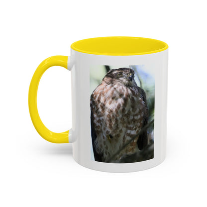 Hawk Photo Accent Coffee Mug — Birdwatcher Gift, 11/15oz