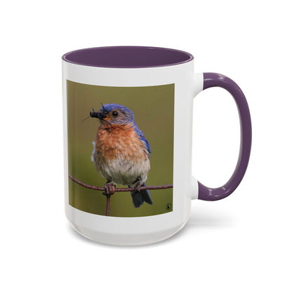 Bluebird Photo Coffee Mug — Eastern Bluebird with Insect Accent Mug (11/15 oz)