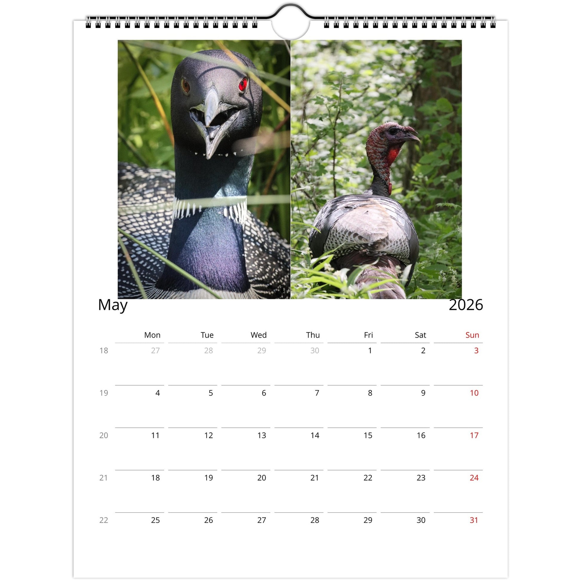 81a101f9-c5e2-4aec-9d02-311a12c1e7e5