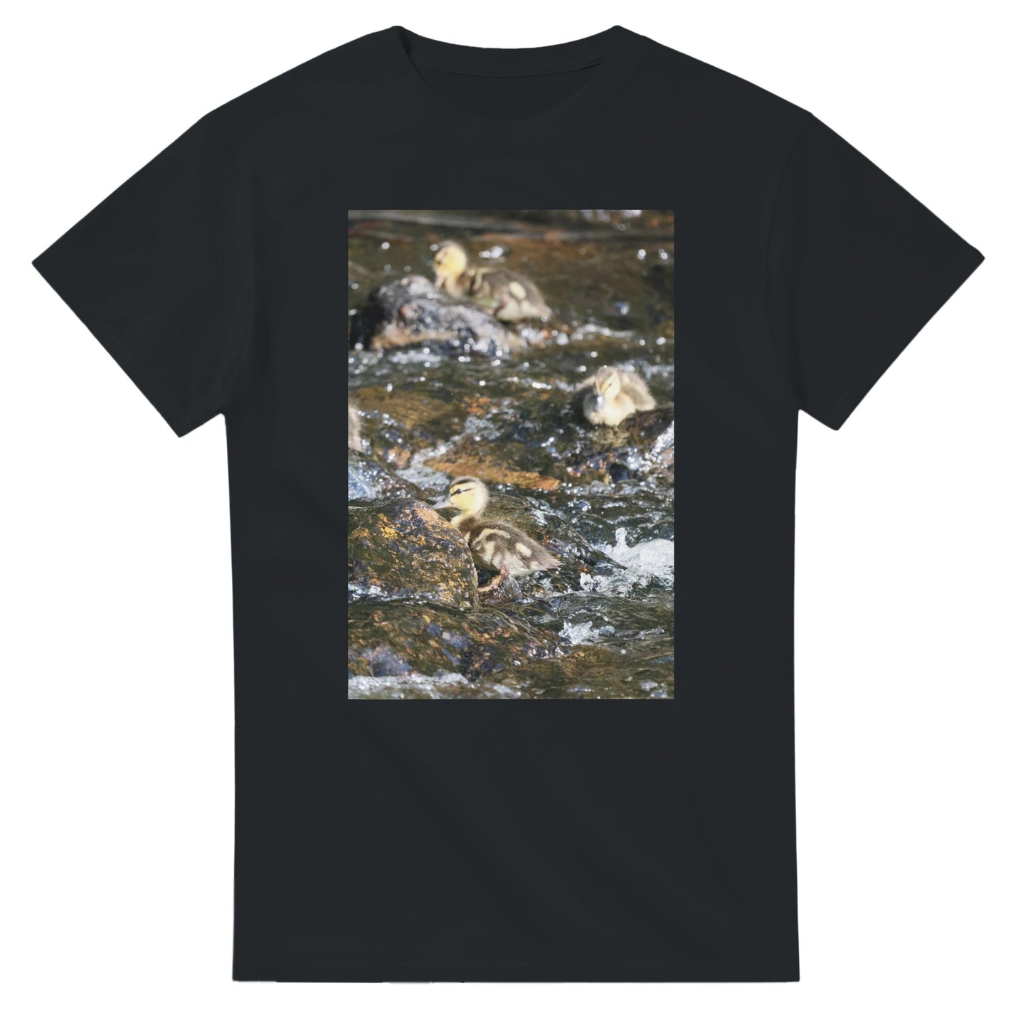 820b46ff-e41e-44b4-87b6-602ed7d4a857