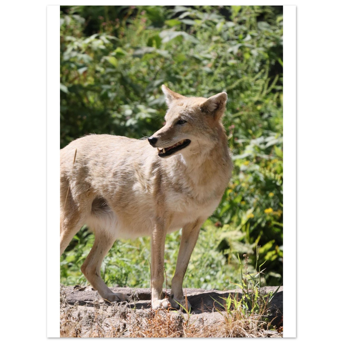 8210e0ef-c545-4192-801b-c88cbc7e097f