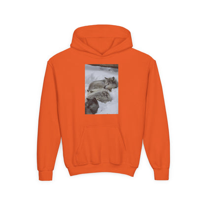 Sleeping Foxes Youth Hoodie | Wildlife Photography, Snow Scene