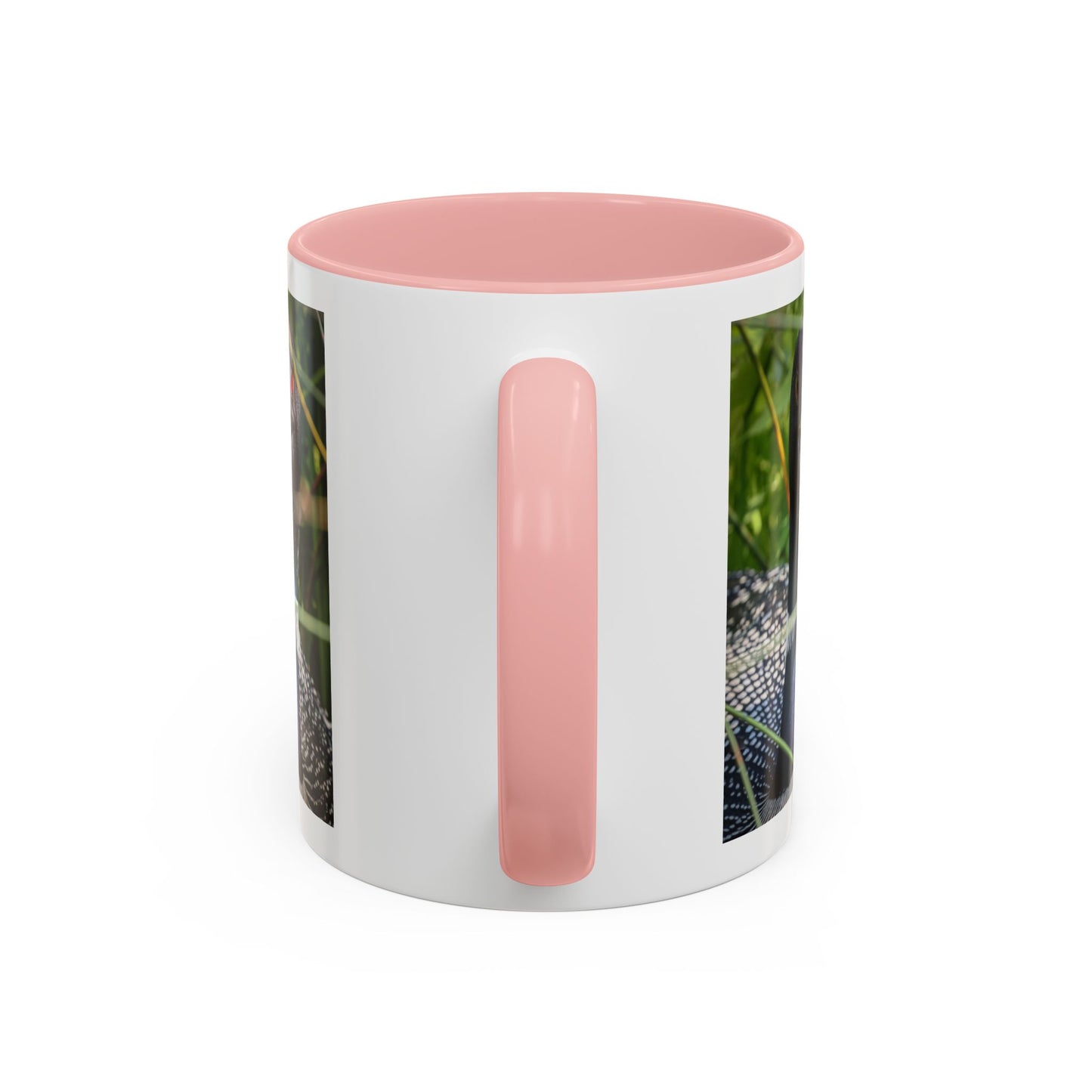 Common Loon Photo Accent Coffee Mug (11/15oz)