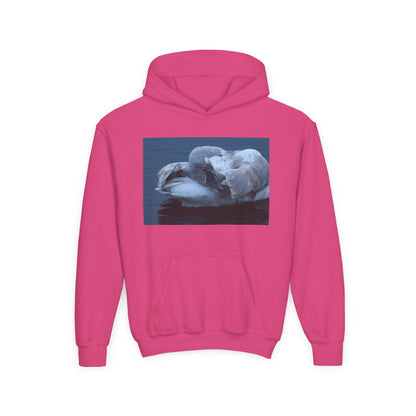Youth Hoodie with Sleeping Swan Photo — Cozy Wildlife Sweatshirt