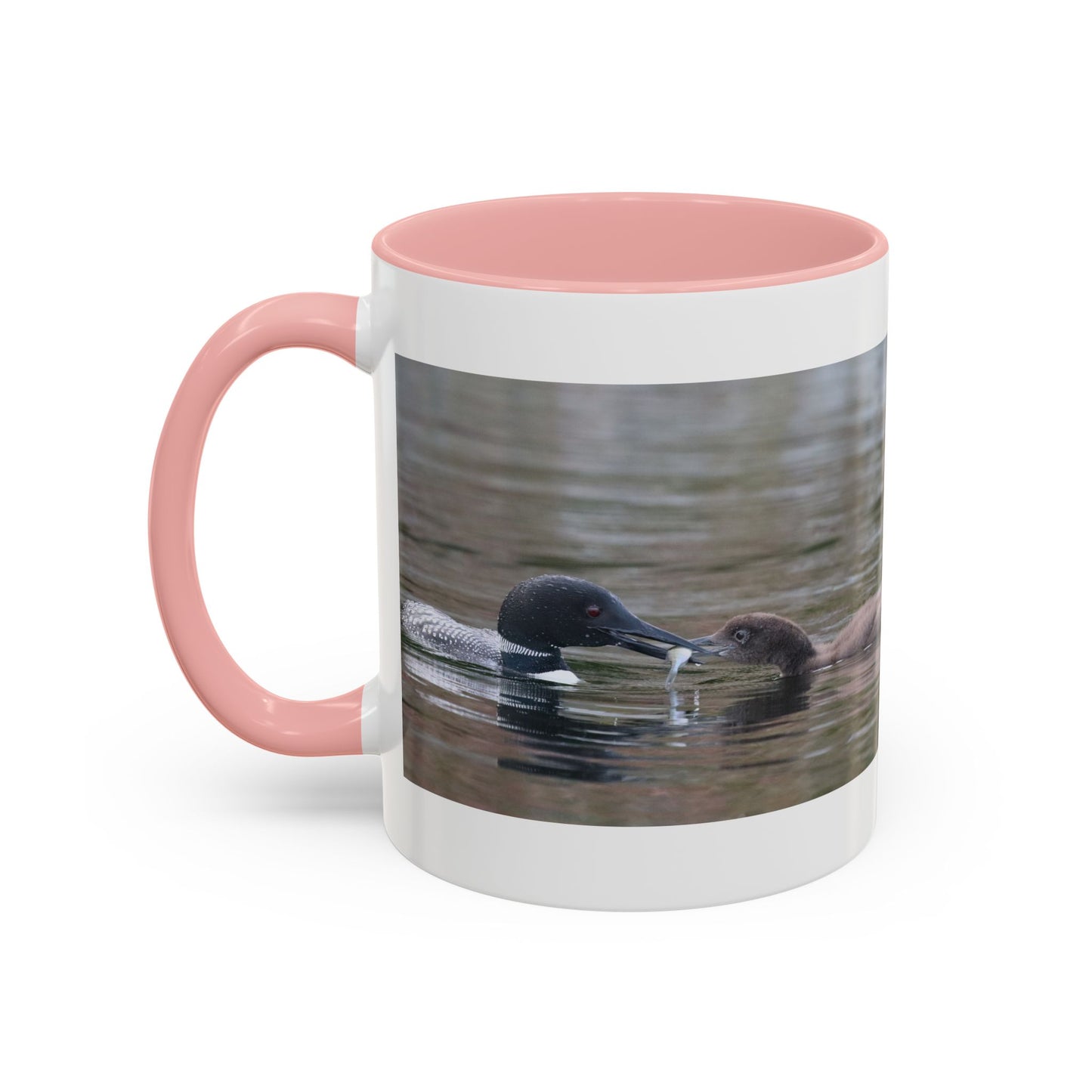Bufflehead Duck Photo Accent Coffee Mug — Nature Lover Wildlife Gift (11/15oz)