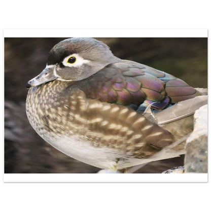 8272a58e-e7a6-4c79-9b45-9ce018c53a2d