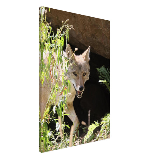 82fea275-e1c1-4f98-bc9f-badf052f0221