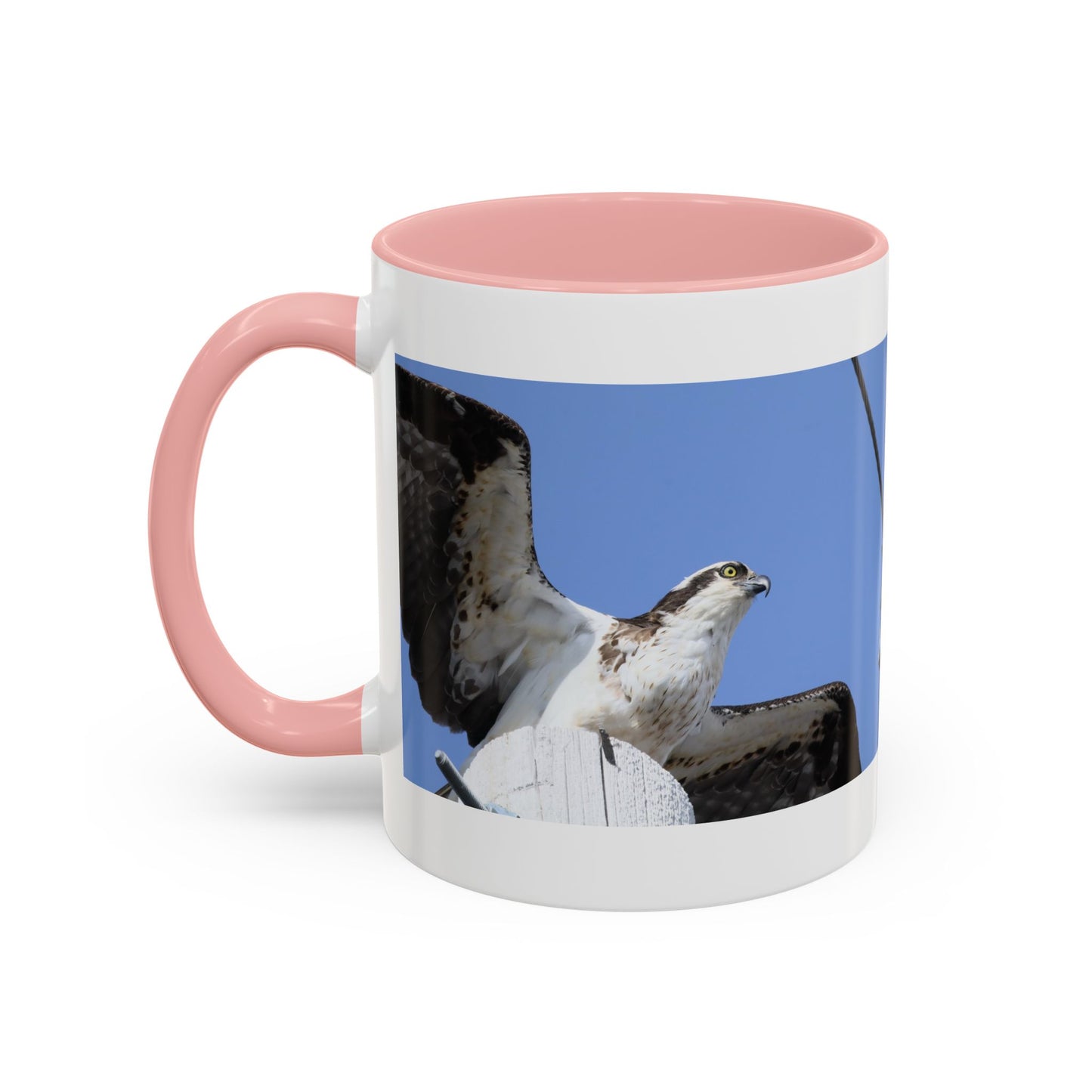Osprey Photo Accent Coffee Mug – Wildlife Bird Photography Drinkware (11/15 oz)