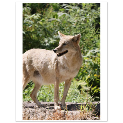 8357b1d7-6875-49ee-aeec-c3d12ee6d3a0