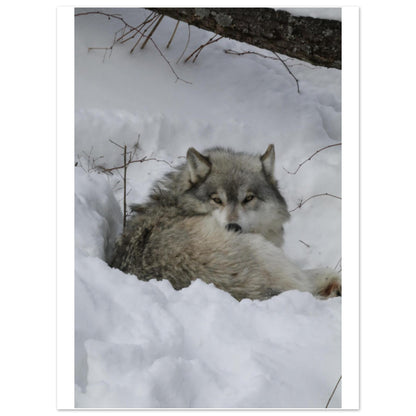 8373d968-97e0-4e8f-9adc-5226708761af