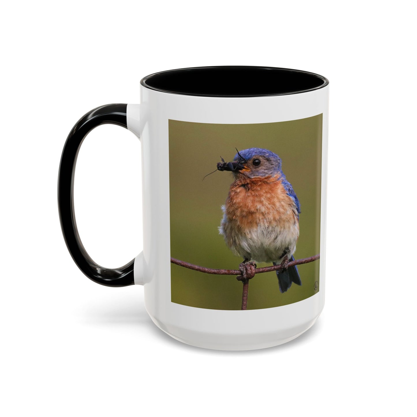 Bluebird Photo Coffee Mug — Eastern Bluebird with Insect Accent Mug (11/15 oz)