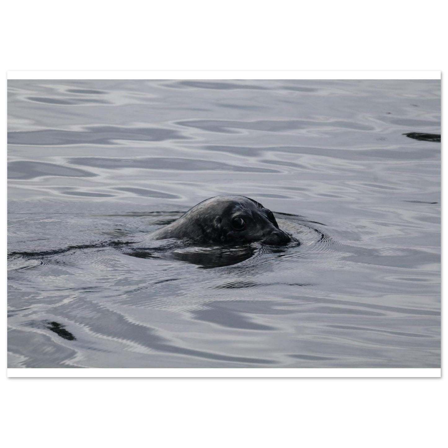 839a41c5-0953-4f86-8d09-2794a753efb0