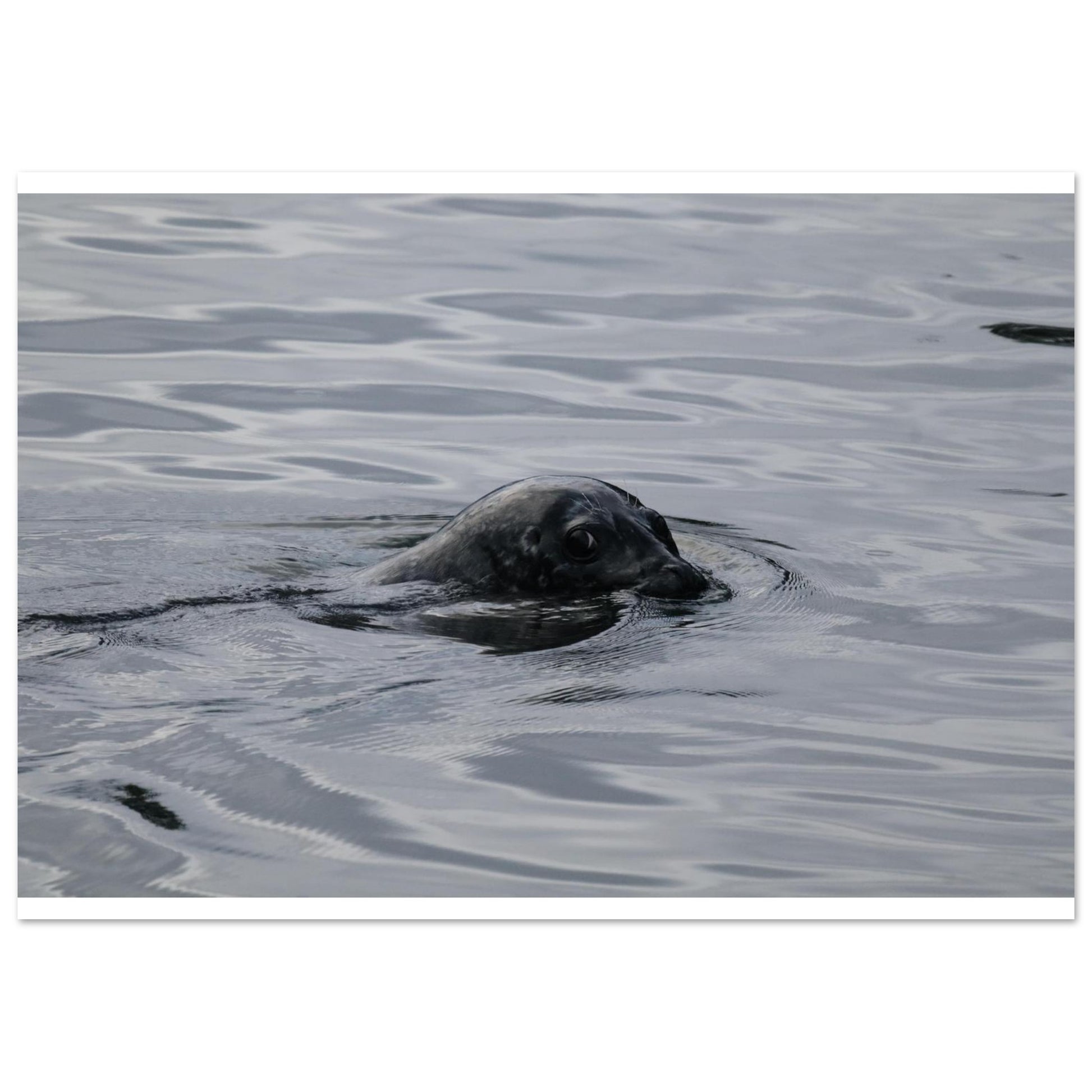 839a41c5-0953-4f86-8d09-2794a753efb0