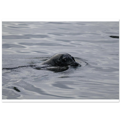 839a41c5-0953-4f86-8d09-2794a753efb0