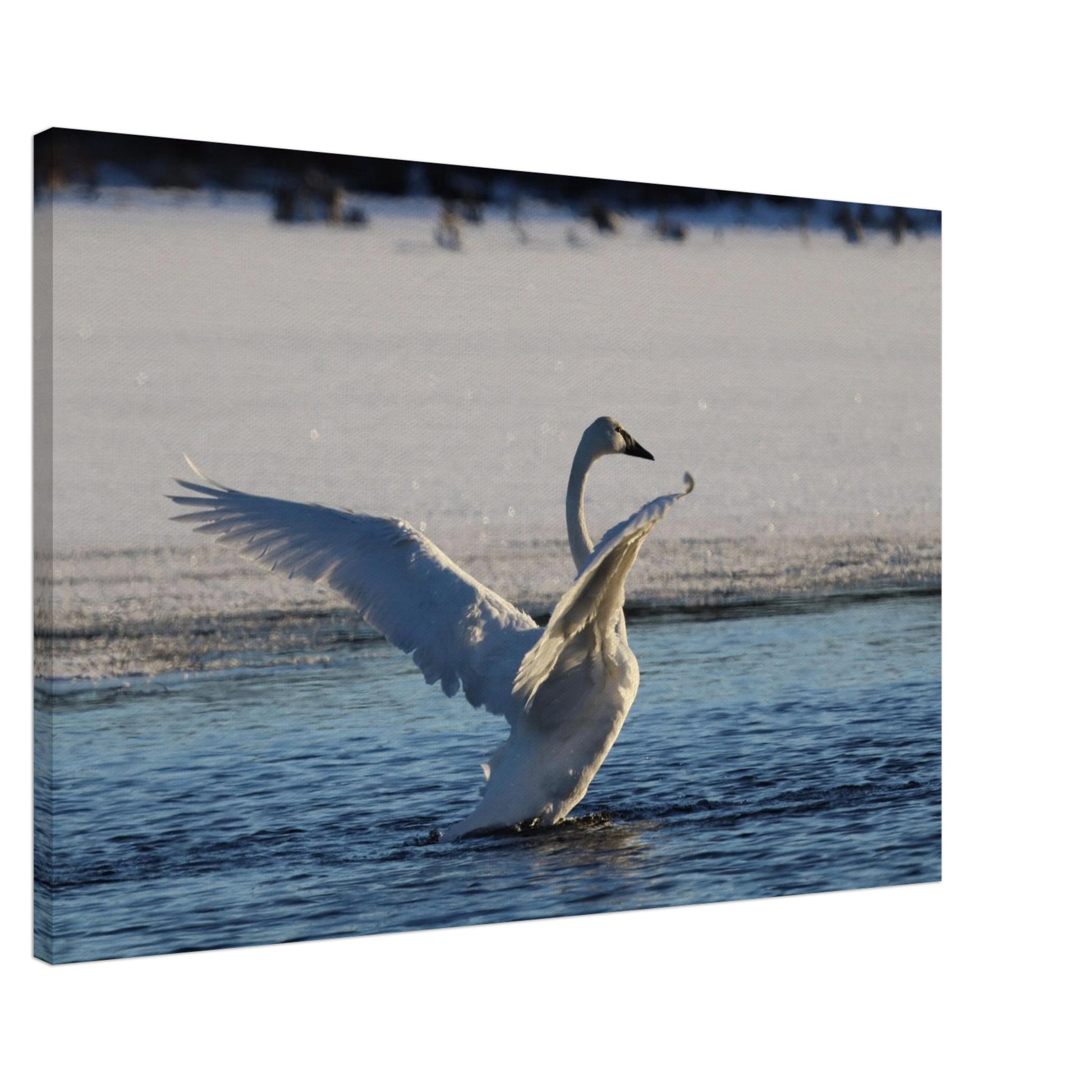 83ce2032-1cea-4da9-b9be-56e19e6876f6