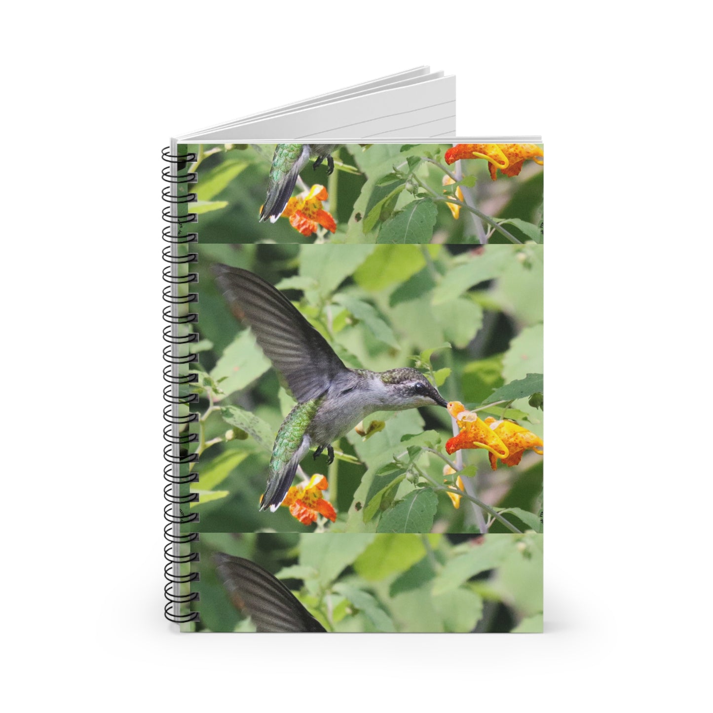 Hummingbird Floral Spiral Notebook — Ruled Journal for Nature Lovers