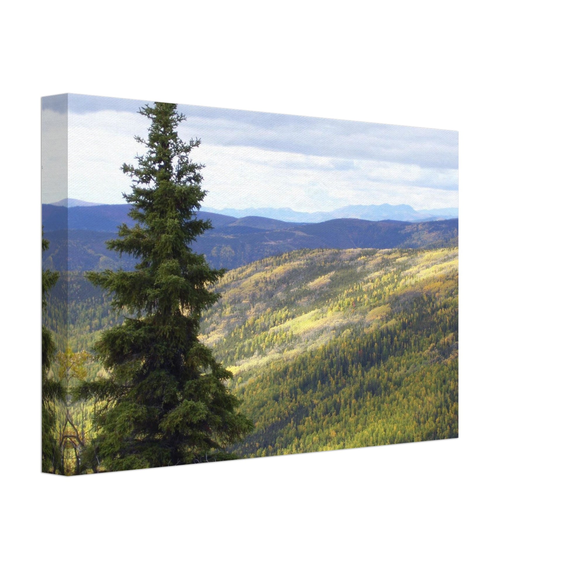 841fd3c8-4cdf-48e5-89db-76fb20ffe420