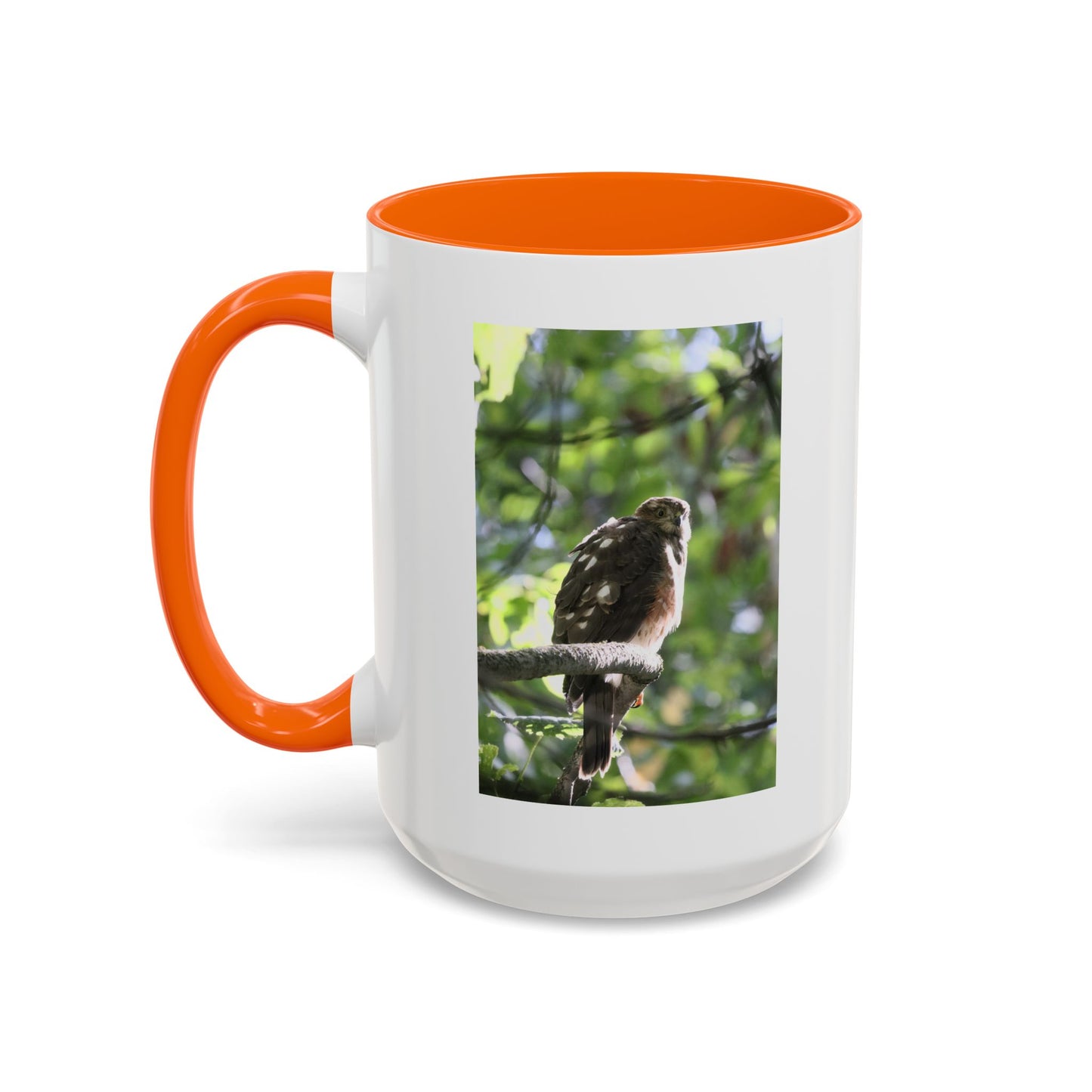 Hawk Perch Accent Coffee Mug (11/15 oz) – Nature Bird Photography