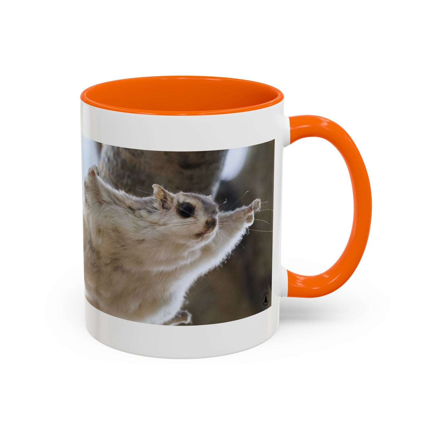 Flying Squirrel Accent Coffee Mug — Cute Wildlife Photo Mug (11/15oz)