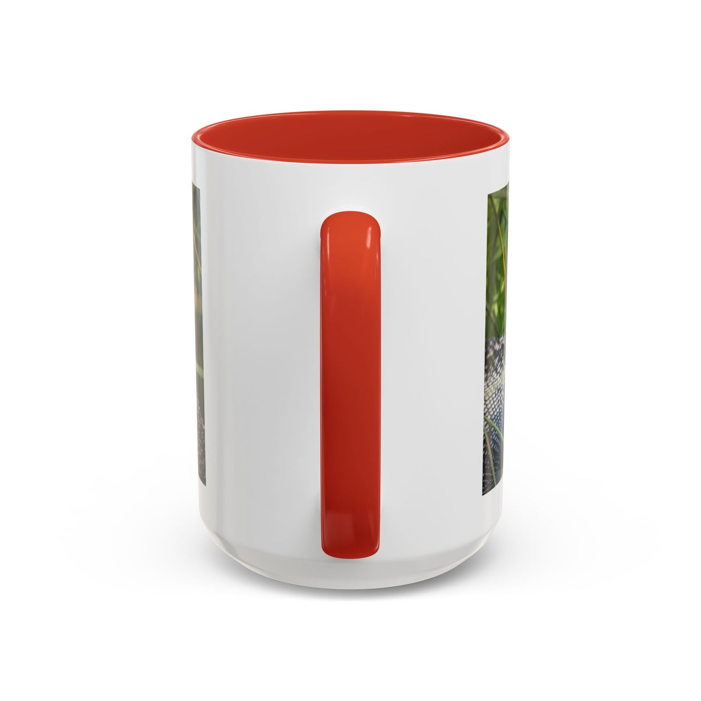 Common Loon Photo Accent Coffee Mug (11/15oz)