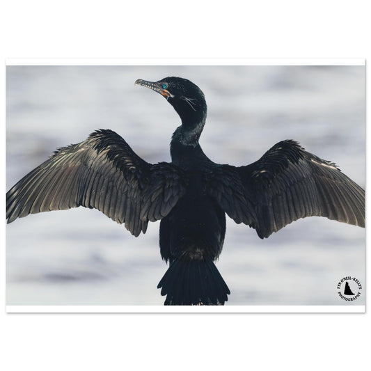 8492915f-8613-4e6d-8394-df502eeec4a5