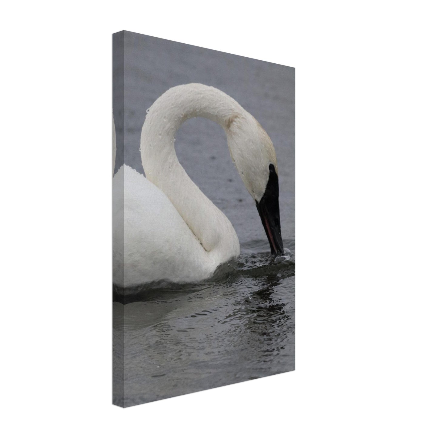 849617ef-3cf8-418f-b326-04712c5c624e