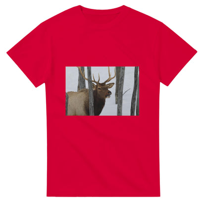 8537263f-83b7-4520-8566-1a3c1fb8d079