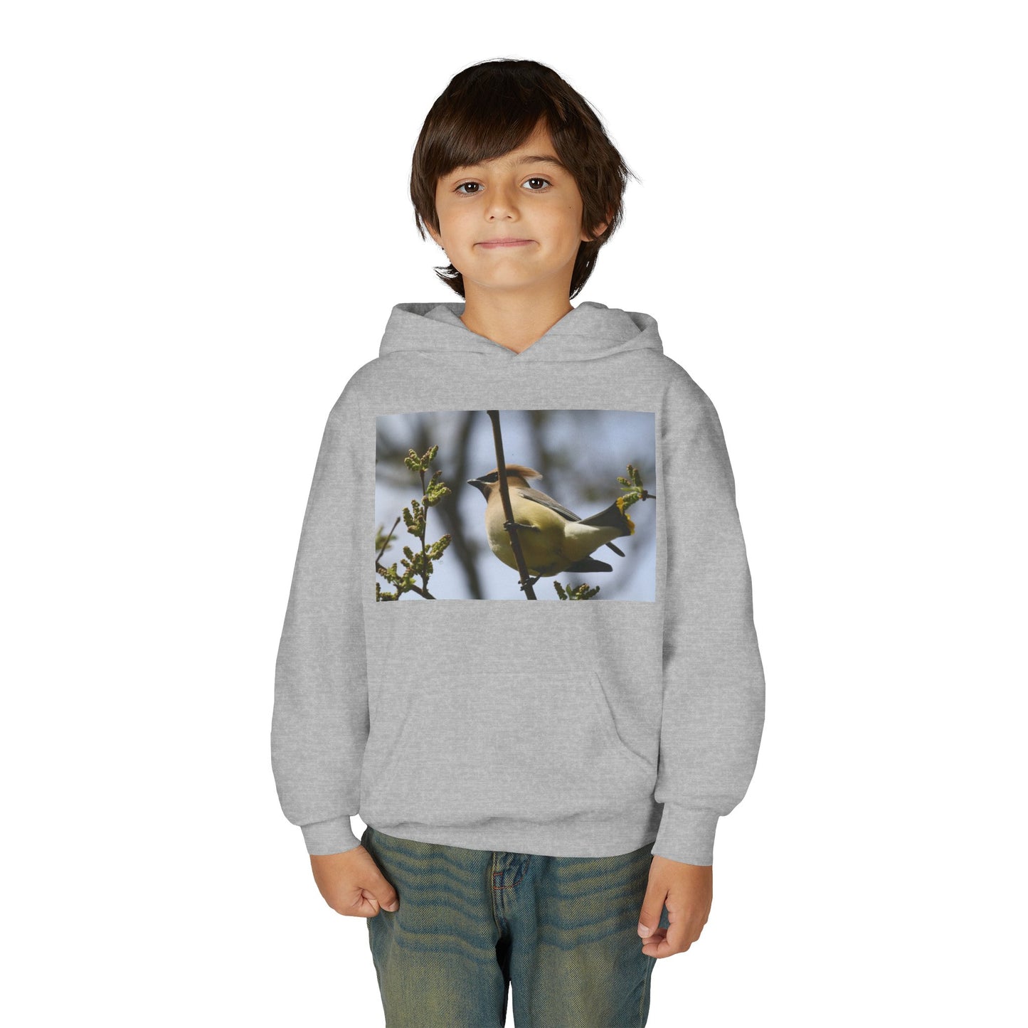 Cedar Waxwing Bird Hoodie | Youth Hooded Sweatshirt