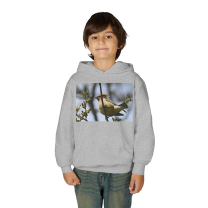 Cedar Waxwing Bird Hoodie | Youth Hooded Sweatshirt