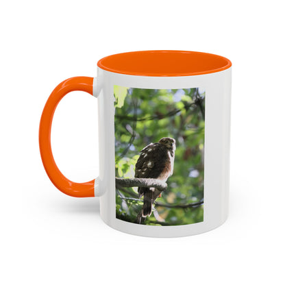 Hawk Perch Accent Coffee Mug (11/15 oz) – Nature Bird Photography