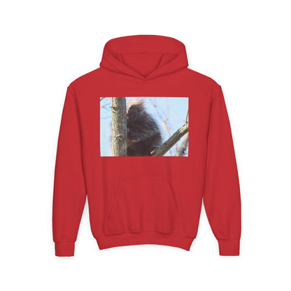 Youth Hoodie with Tree-Climbing Porcupine Photo – Cute Wildlife Kids Sweatshirt
