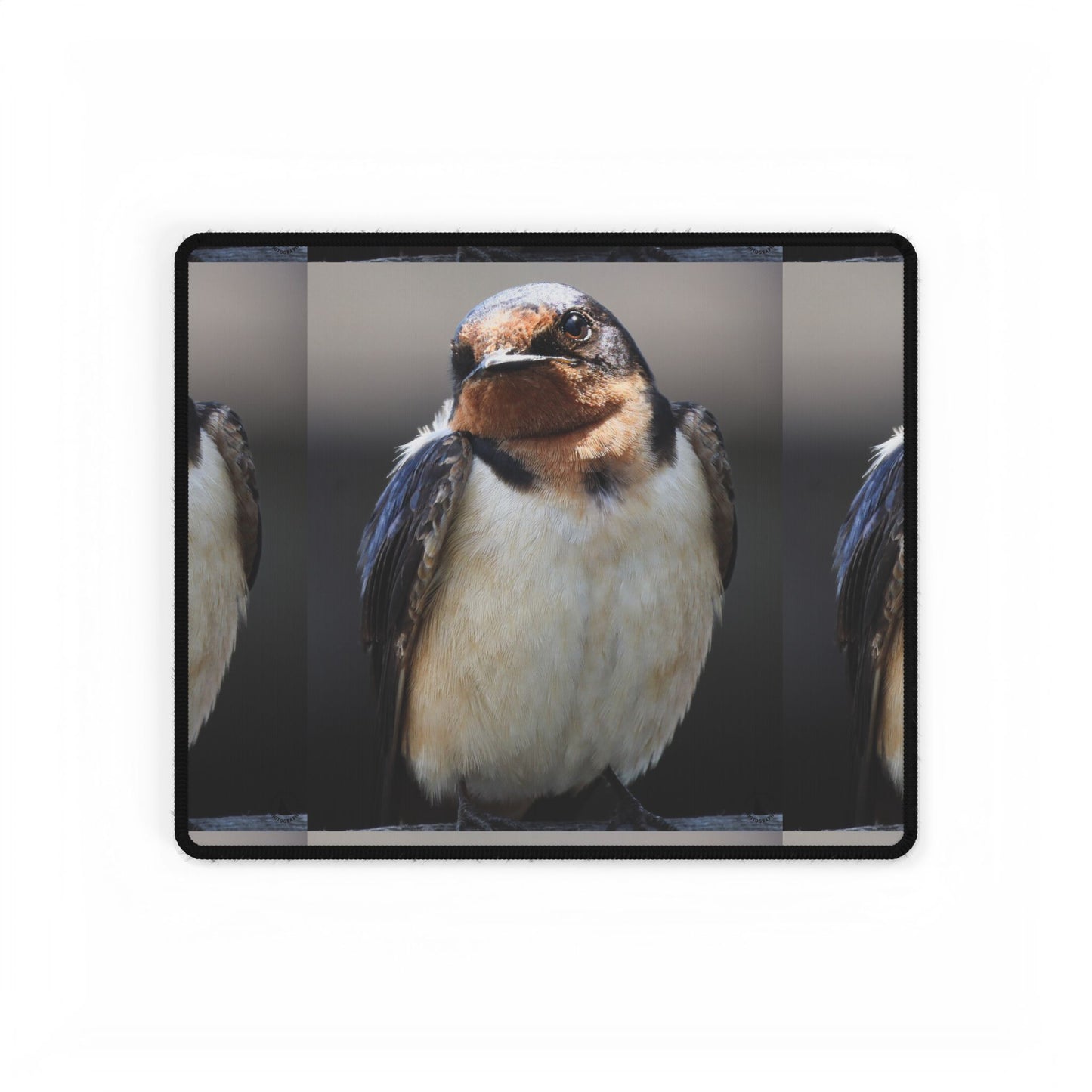 Barn Swallow Desk Mat — Large Bird Photography Mouse Pad for Home Office