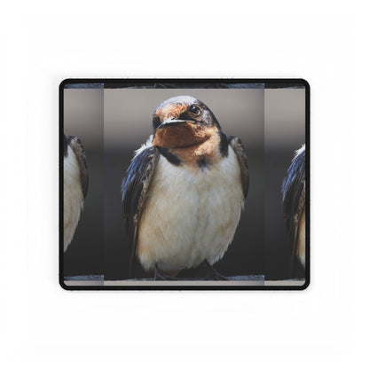 Barn Swallow Desk Mat — Large Bird Photography Mouse Pad for Home Office