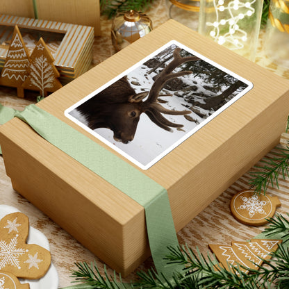 Elk Antler Photo Sticker – Winter Wildlife Kiss-Cut Sticker