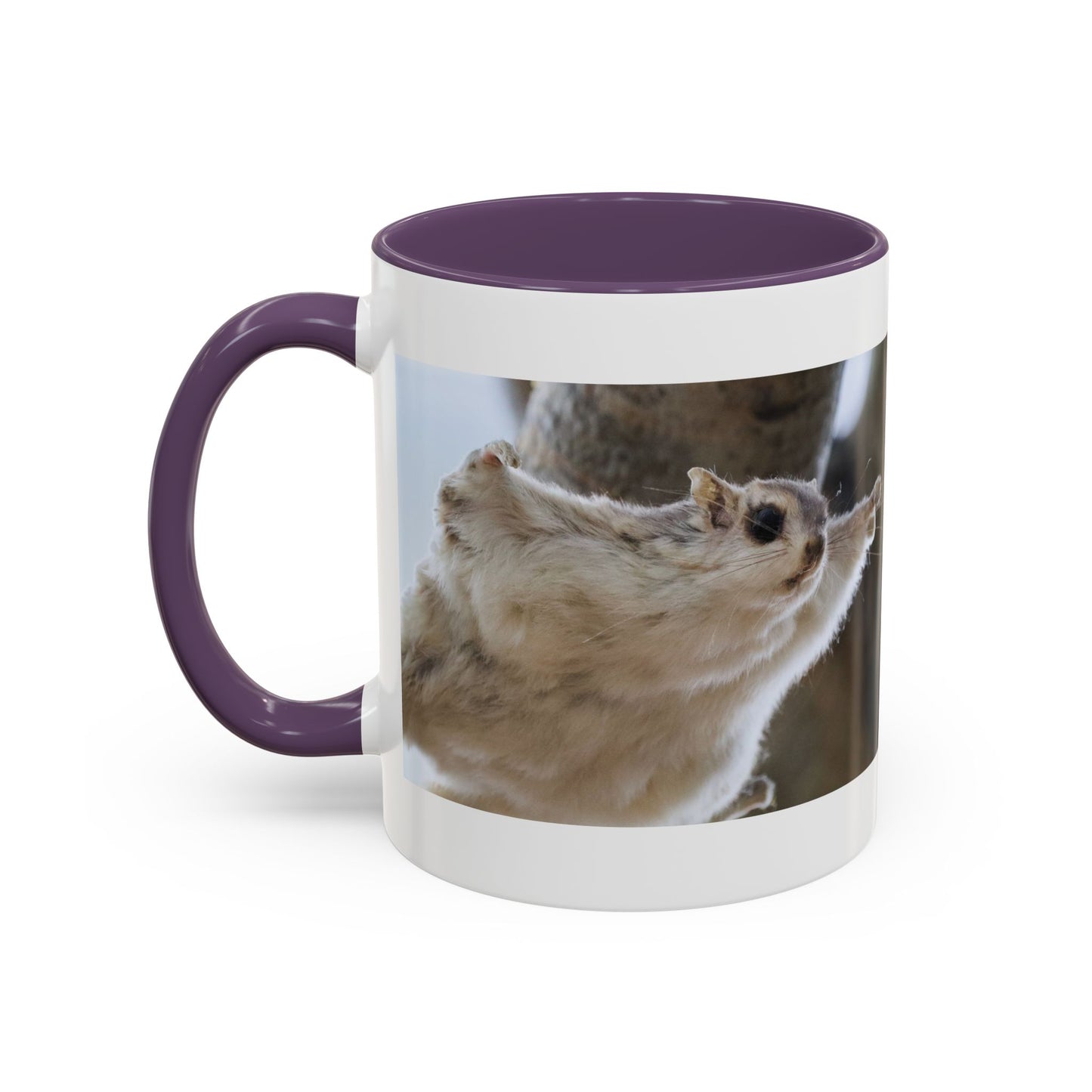 Flying Squirrel Accent Coffee Mug — Cute Wildlife Photo Mug (11/15oz)