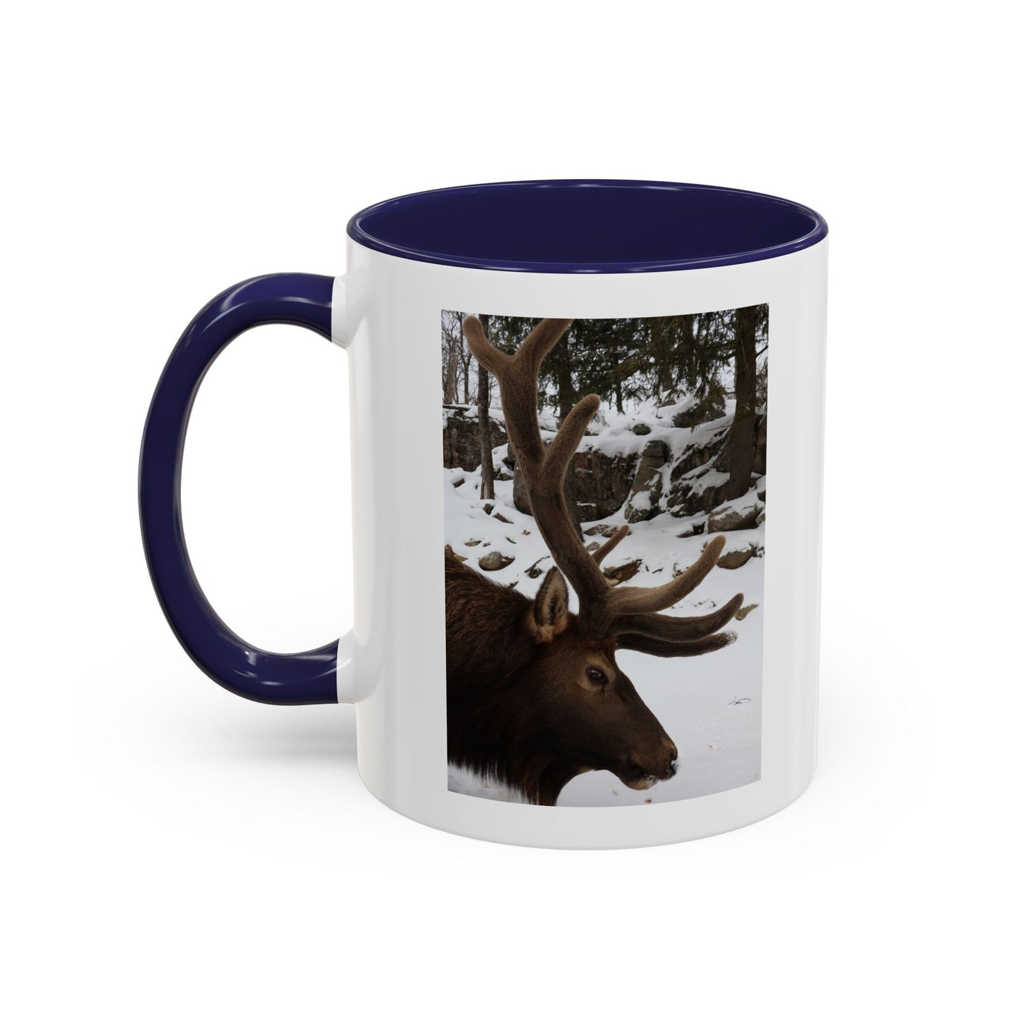 Elk in Snow Accent Coffee Mug — Nature Wildlife Photo Mug (11/15oz)
