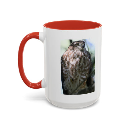 Hawk Photo Accent Coffee Mug — Birdwatcher Gift, 11/15oz
