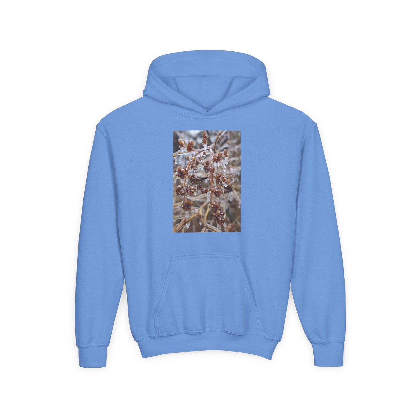 Youth Hoodie — Frosted Winter Berries Photo Print
