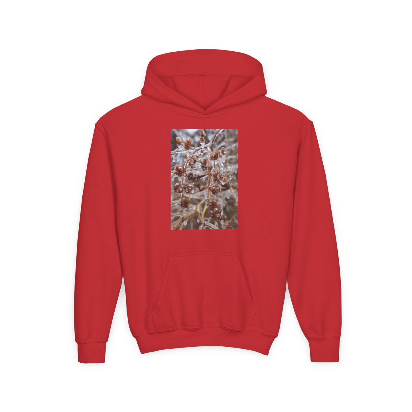 Youth Hoodie — Frosted Winter Berries Photo Print