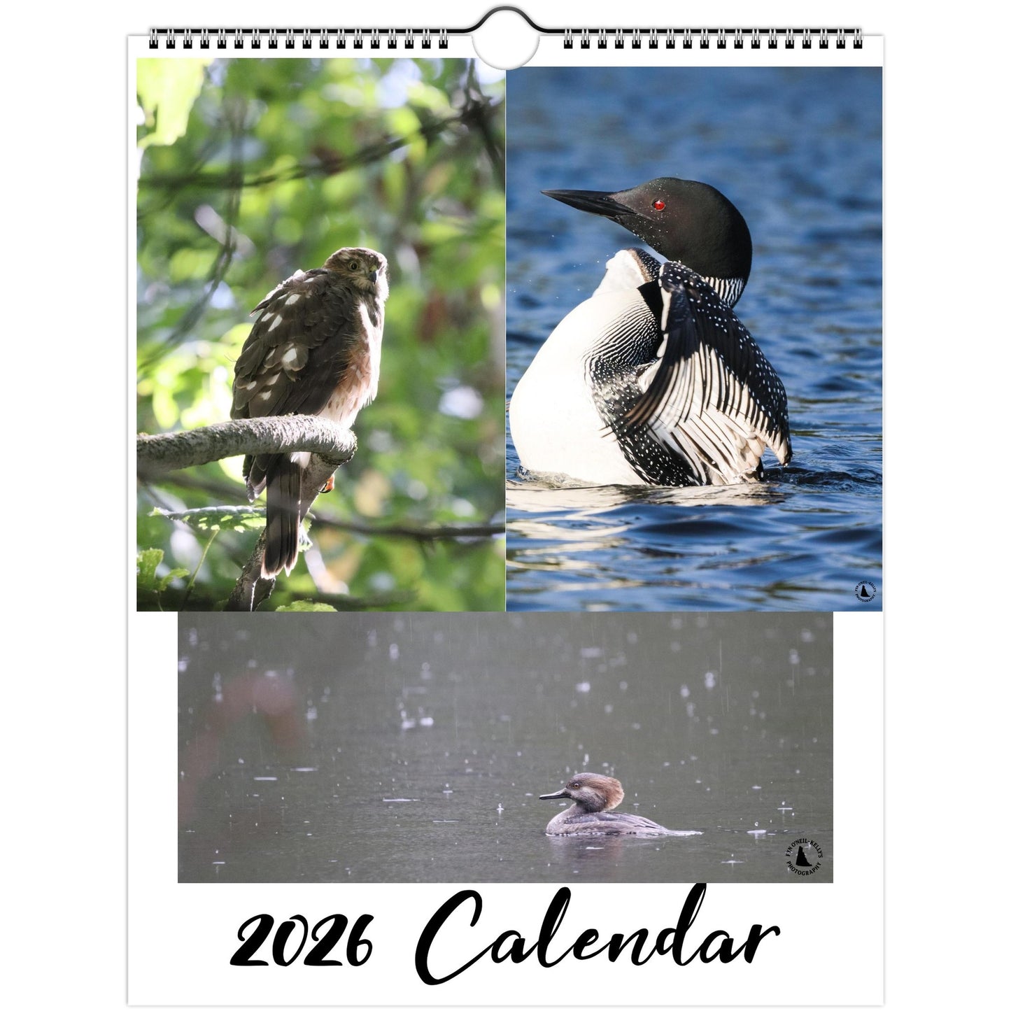 86bc0cbd-9041-463a-aa70-d04a2d9fb261