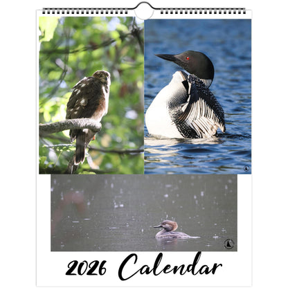 86bc0cbd-9041-463a-aa70-d04a2d9fb261