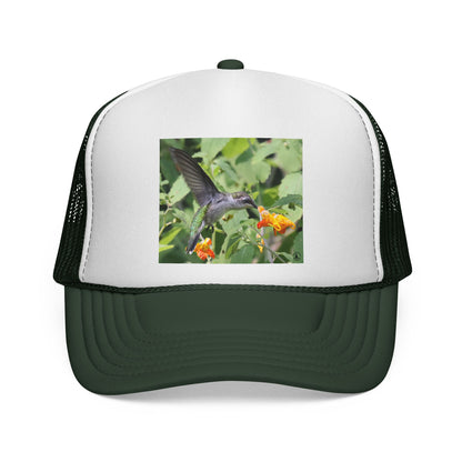 Hummingbird Photo Trucker Cap — Nature Wildlife Mesh Hat