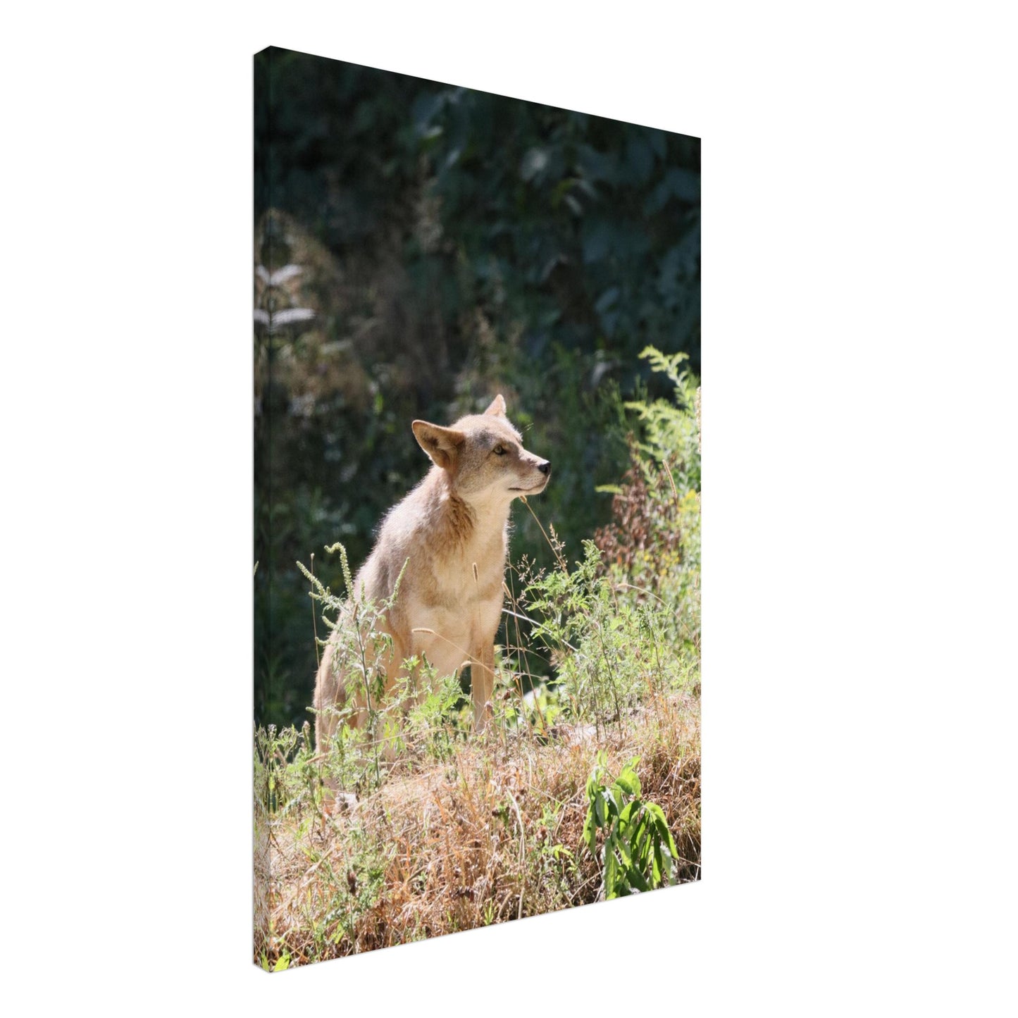 8724fe75-89e2-4533-9da1-4814b97ea19e