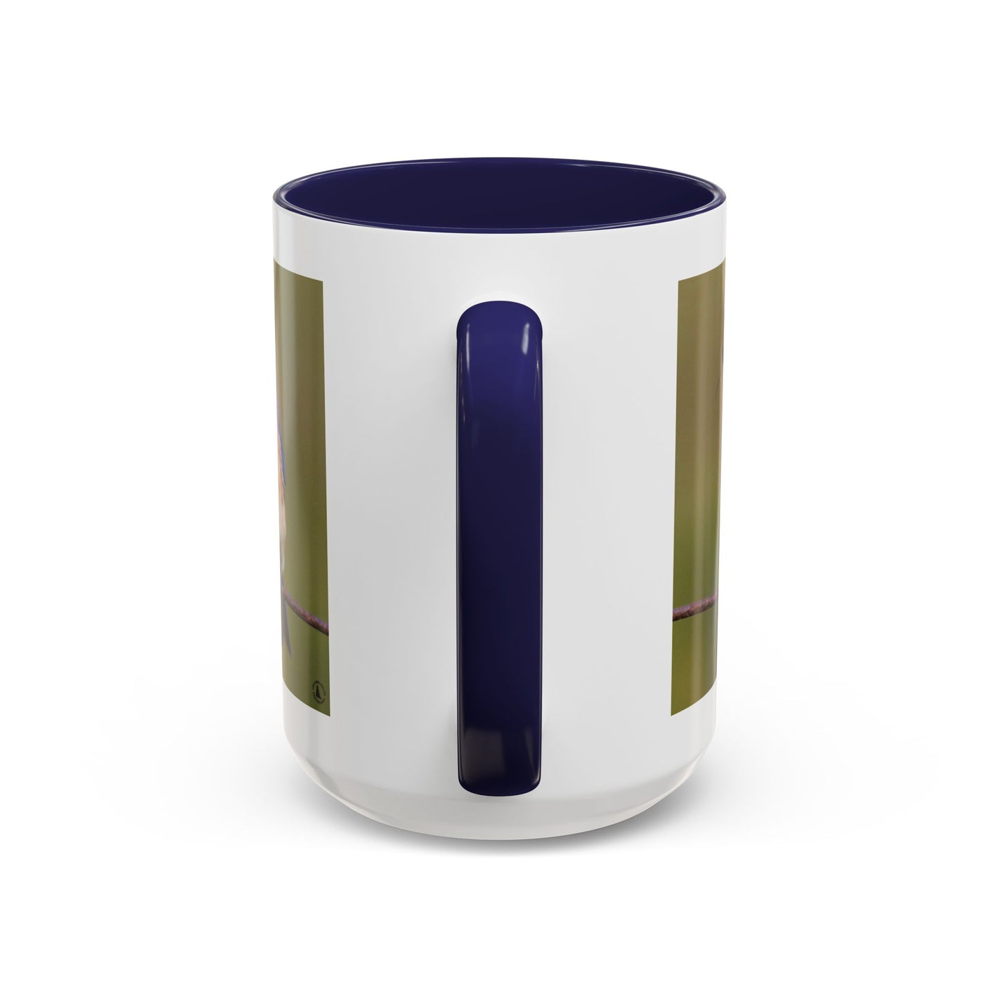 Bluebird Photo Coffee Mug — Eastern Bluebird with Insect Accent Mug (11/15 oz)